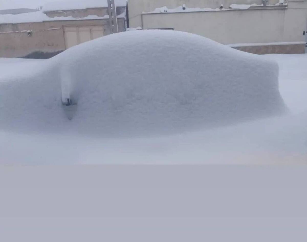 بارش ۷۰ سانتی‌متر برف در خیارک اردبیل | ثبت ۱۴۳ میلی‌متر بارش در شلماش سردشت