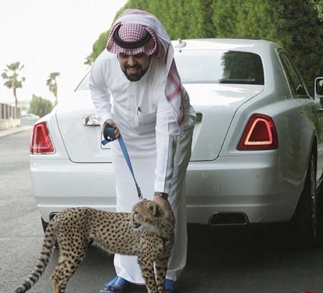 اینستاگرام بچه پولدارهای عربستانی 