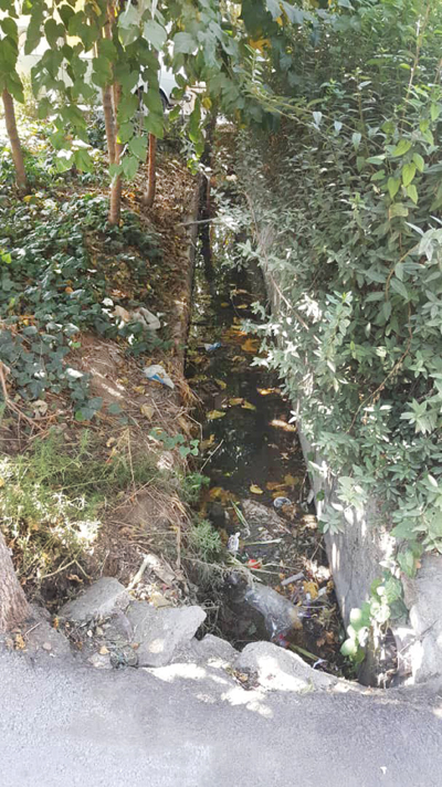 معمای یک «دست» 