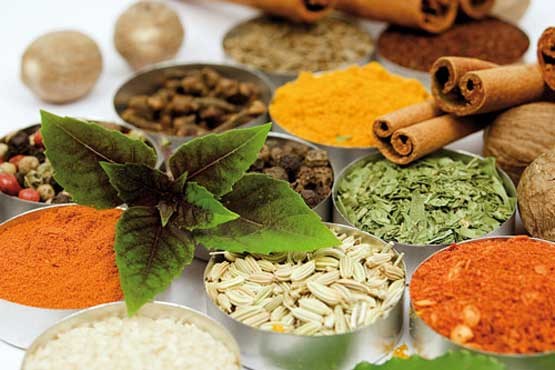 امیرهومن کاظمی,طب چینی,اختلالات جنسی,فشار خون,دیابت, گیاهان دارویی امیرهومن کاظمی,طب چینی,اختلالات جنسی,فشار خون,دیابت, گیاهان دارویی