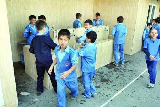 دستشویی,دود سیگار,آسم,پونه شیرازی دستشویی,دود سیگار,آسم,پونه شیرازی