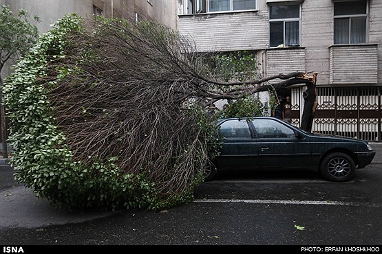 طوفان شدید 2 روز پیش تهران 5 کشته و 44زخمی داشت☻ 1