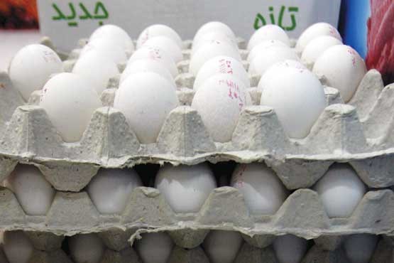 کاهش قیمت تخم مرغ در میادین