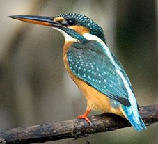 636133414071627545.jpg