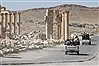 داعش 12 نفر را در تدمر سر بريد داعش 12 نفر را در تدمر سر بريد