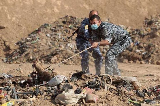 کشف یک گور دسته جمعی در سنجار عراق