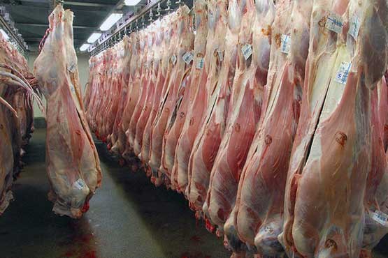 گوشت بره نیوزلندی در راه ایران