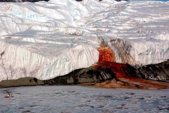 معمای 100 ساله آبشار خون قطب جنوب حل شد