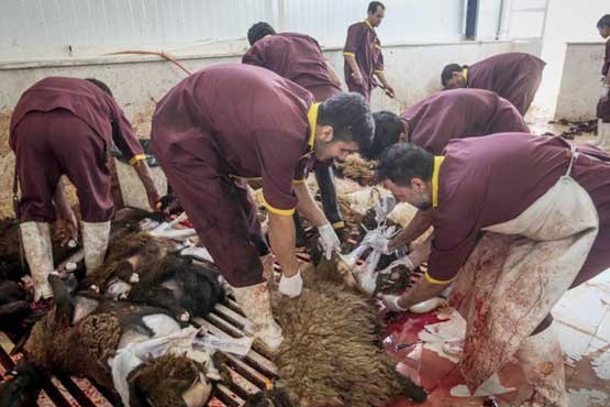 واردات گوشت آلوده دلیل شیوع تب کنگو