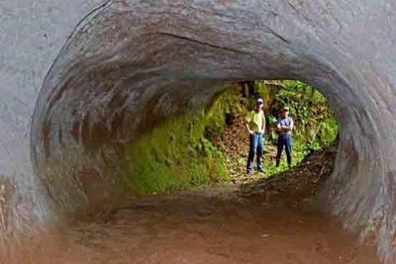 تونل‌های عظیمی که تنبل های ماقبل تاریخ آنها را حفر کرده‌اند! + عکس
