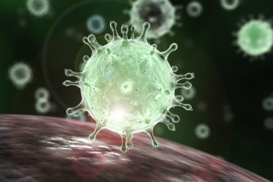 اولین مورد ابتلا به ویروس کرونا در کانادا ثبت شد