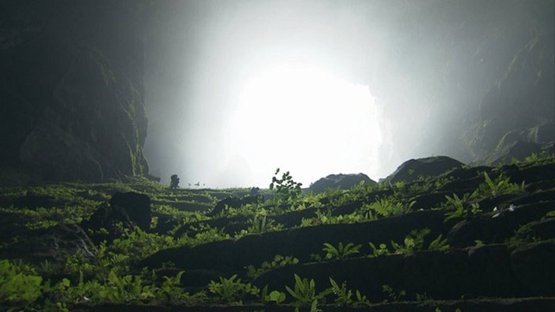 سون‌دونگ، بزرگ‌ترین غار زیرزمینی جهان/تصاویر